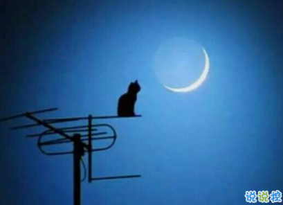 很有道理的心情說說很走心 一句話感悟生活認(rèn)清現(xiàn)實(shí)的說說2