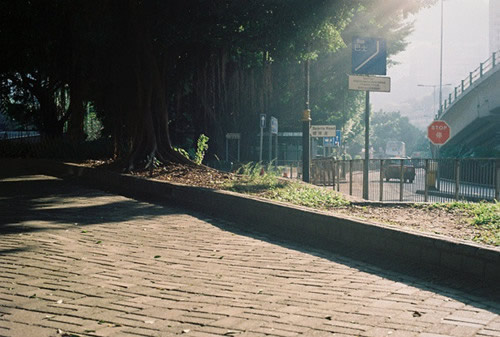 關于生活的有點傷感但很現(xiàn)實的圖片說說 哭也不會改變什么這個世界從來不會對任何人溫柔5