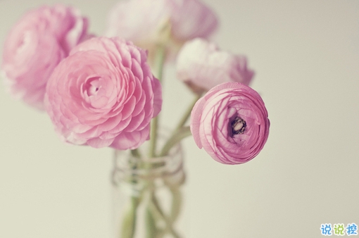 突然很想哭的心情說說大全 快手寫進心坎的傷感句子2