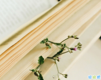 簡短的帶唯美的說活帶圖片 簡單一句話說說表達心中的情感3