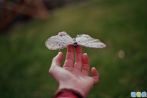 有種淡淡心酸的個(gè)性說說帶圖片 文字控喜歡的文藝個(gè)性說說配圖6