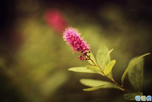 看透愛情的悲傷說(shuō)說(shuō)心痛分手帶圖片 開始很感動(dòng)過(guò)程很精彩結(jié)局不想說(shuō)3