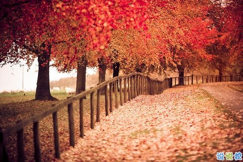 15條愛情說說我的心里話 愛情中最真實(shí)的感受說說配圖8