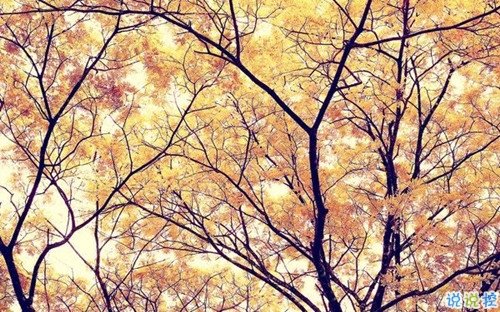 從來沒為自己活過是什么感受 表示很心累的心酸句子1