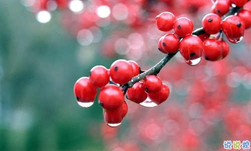 朋友圈曬美食的搞笑說說帶圖片 關于吃貨的說說簡短精辟201910