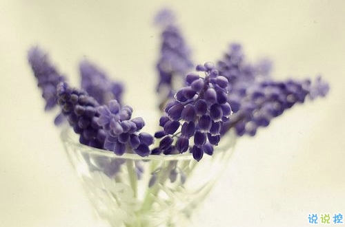 心里有事失眠的說(shuō)說(shuō)2019最新 失眠夜述說(shuō)心事的傷感句子2