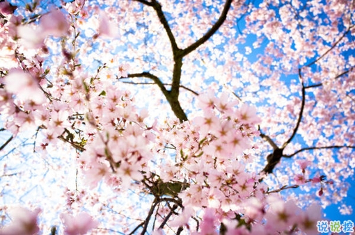 一個(gè)人感到孤獨(dú)絕望的說(shuō)說(shuō)帶圖片 黑夜難以入眠的悲情說(shuō)說(shuō)11