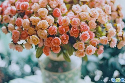 十二月你好幸福唯美說(shuō)說(shuō)帶圖片 2018十二月朋友圈說(shuō)說(shuō)帶著美好祝愿3