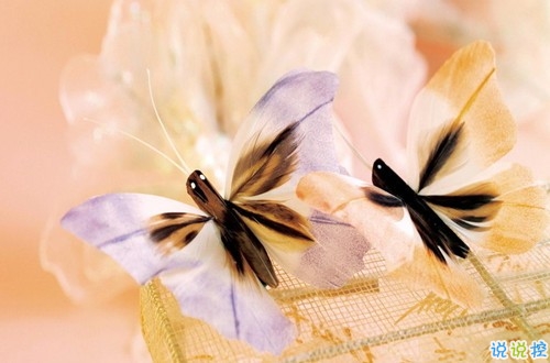 苦澀傷感的愛(ài)情說(shuō)說(shuō)帶圖片 特別心酸傷感的句子大全14