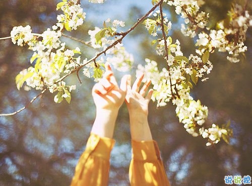 想說(shuō)給你的一句心里話愛(ài)情說(shuō)說(shuō) 愛(ài)情說(shuō)說(shuō)很現(xiàn)實(shí)的說(shuō)說(shuō)1