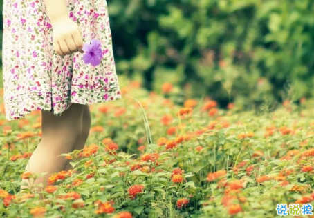 最新充滿斗志的勵志句子 看似簡單但道理深刻的句子大全2