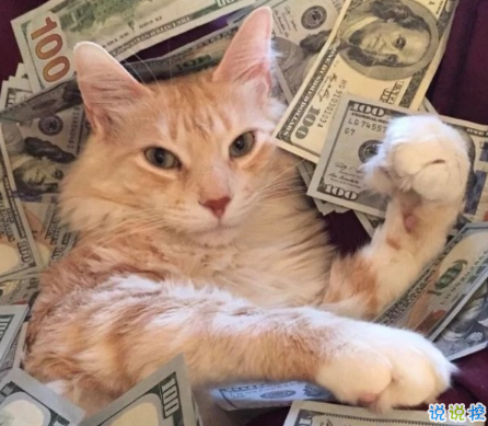 可愛(ài)說(shuō)說(shuō)配圖2018女生專(zhuān)屬 我生來(lái)就是寶貝，來(lái)到世間就是被寵的1