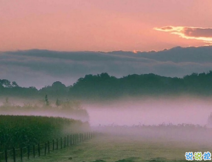 簡短的帶唯美的說活帶圖片 簡單一句話說說表達心中的情感1