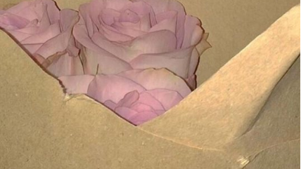 忽而夏至的悲傷日記的傷感說(shuō)說(shuō)配圖 你最美的青春都在陪他吃苦11