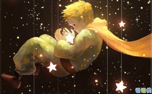 經(jīng)典小王子中的有哲理而又簡(jiǎn)單的句子 如果你被一朵花馴養(yǎng)14