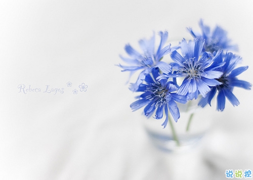 女生發(fā)朋友圈可愛搞怪的句子帶圖片 最新微信搞笑說(shuō)說(shuō)大全6