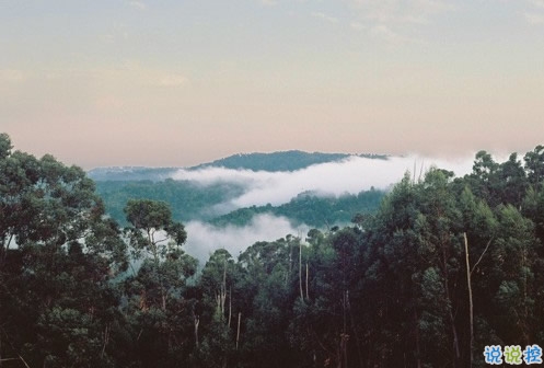 qq說說傷感女生帶絕情配圖 是真的感到心好累說說帶圖片6