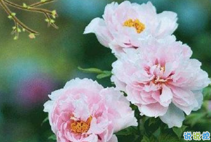 2019谷雨發(fā)微信短信的祝福語(yǔ)合集 谷雨節(jié)氣送祝福說(shuō)說(shuō)1