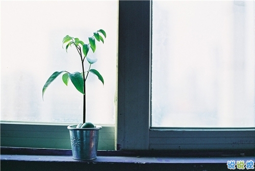 晚安句子大全簡(jiǎn)單正能量 睡覺(jué)前致自己的勵(lì)志句子1