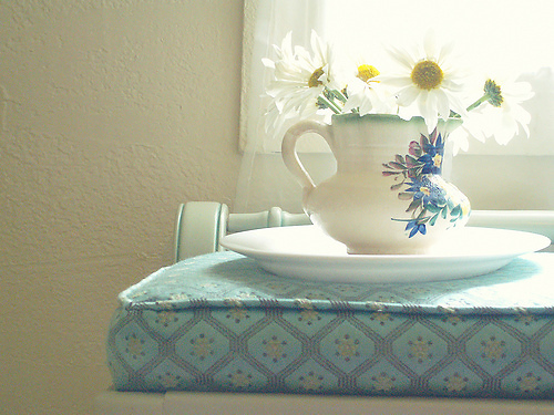 有哪些詩歌讀到后心里像開出了一朵花？15