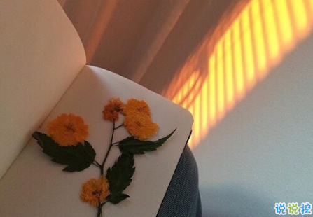 微信勵(lì)志早安語(yǔ)加圖片最新 朋友圈早安心語(yǔ)正能量配圖文字2