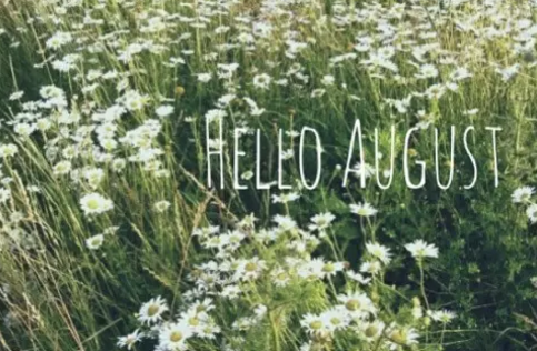 再見(jiàn)七月八月你好圖片說(shuō)說(shuō)2018最新版 唯美好聽的八月你好說(shuō)說(shuō)配圖5