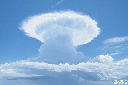 女生發(fā)朋友圈可愛搞怪的句子帶圖片 最新微信搞笑說(shuō)說(shuō)大全9