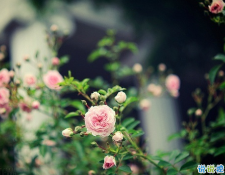 微信朋友圈一句話正能量說說 最新霸氣勵(lì)志說說致自己大全1