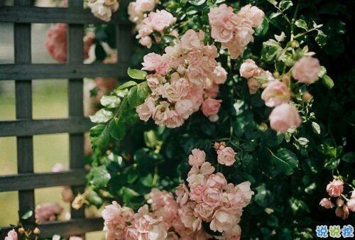 15條愛情說說我的心里話 愛情中最真實(shí)的感受說說配圖1