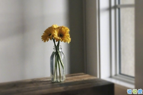 很扎心但很有道理的勵志說說帶圖片 激勵人心的很現(xiàn)實(shí)的一句話說說10