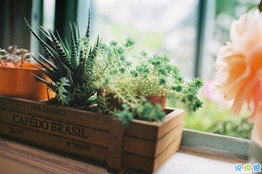 一句話(huà)讓女朋友炸毛 女生聽(tīng)了瞬間生氣的句子合集14