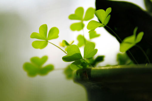 關(guān)于讀書閱讀的哲理精辟有道理的說說帶圖片12