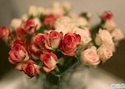 15條愛情說說我的心里話 愛情中最真實(shí)的感受說說配圖9