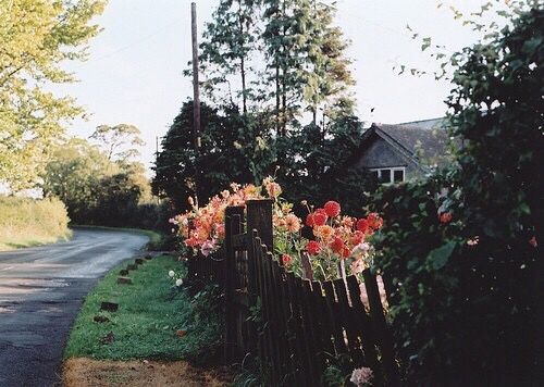 關(guān)于成長(zhǎng)人生和愛情的美到讓人心碎的說說帶圖片3