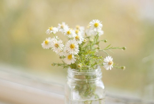 社會現(xiàn)實人情冷暖句子帶圖片 現(xiàn)實又很扎心的句子看透一切配圖10