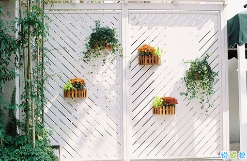 抖音上很火的31句個(gè)性說說 文字控喜歡的抖音上很火的個(gè)性說說2