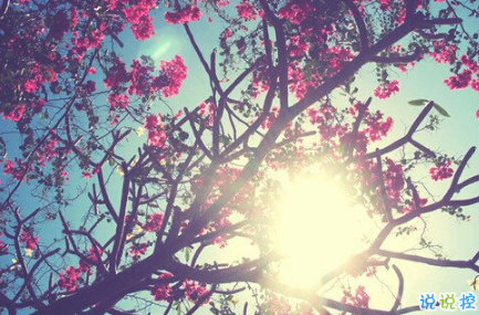 最火情侶說說秀恩愛短句帶圖片 超級喜歡一個人的說說15