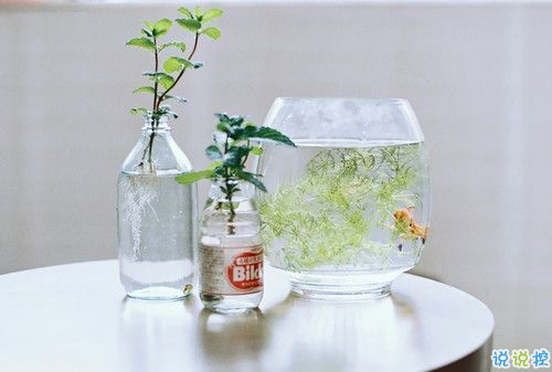 帶圖片的勵(lì)志說說人生感悟 別辜負(fù)了你的野心也別對(duì)不起你受的苦12