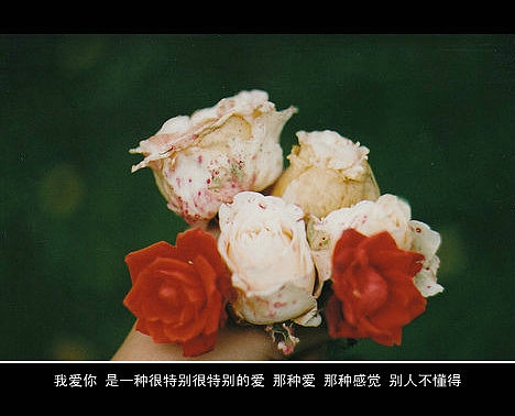 超傷感難過(guò)悲傷的愛(ài)情說(shuō)說(shuō) 你是我枯水年紀(jì)里的一場(chǎng)雨11