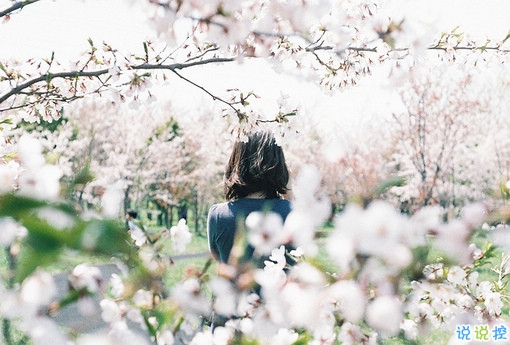 2019女生節(jié)微信說(shuō)說(shuō)大全帶圖片 三七女生節(jié)朋友圈祝福語(yǔ)說(shuō)說(shuō)4