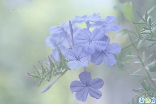 個(gè)性霸氣勵(lì)志短語(yǔ)說(shuō)說(shuō)大全 比較成熟有內(nèi)涵的個(gè)性說(shuō)說(shuō)15