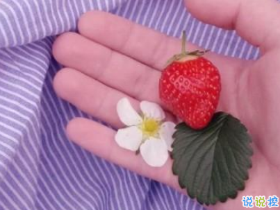 快手公布對(duì)象說說精選帶圖片 公布戀愛關(guān)系的說說5