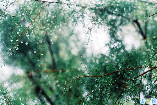 心里留下傷疤的說說大全 有道坎一直過不去的傷感說說1