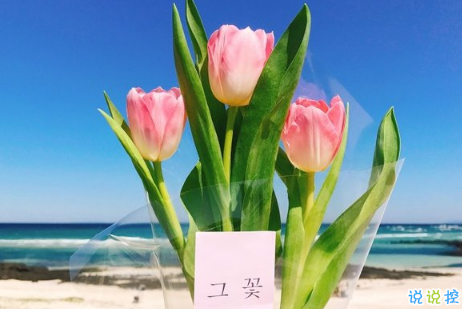 值得收藏的好詞好句適合發(fā)朋友圈 留下你很喜歡的一段話1