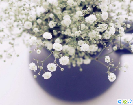 甜到炸的愛(ài)情小情話說(shuō)說(shuō)大全 很甜很暖心的愛(ài)情說(shuō)說(shuō)2