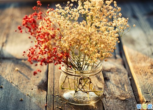 對愛一往情深的經(jīng)典說說帶圖片 文藝愛情小短句表達愛意12