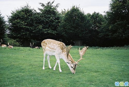 關(guān)于分離分別的傷感說說 每個人都是孤獨(dú)的傷感說說20182
