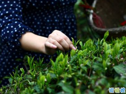 2019谷雨朋友圈說(shuō)說(shuō)配圖 谷雨節(jié)發(fā)朋友圈的說(shuō)說(shuō)優(yōu)美2