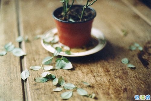 2018超拽霸氣的個(gè)性說說帶圖片 女生男生都可以發(fā)的2018超拽酷炫說說12