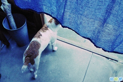 一個人獨處時的孤獨寂寞的說說帶圖片 你有看過凌晨三點的星星嗎7